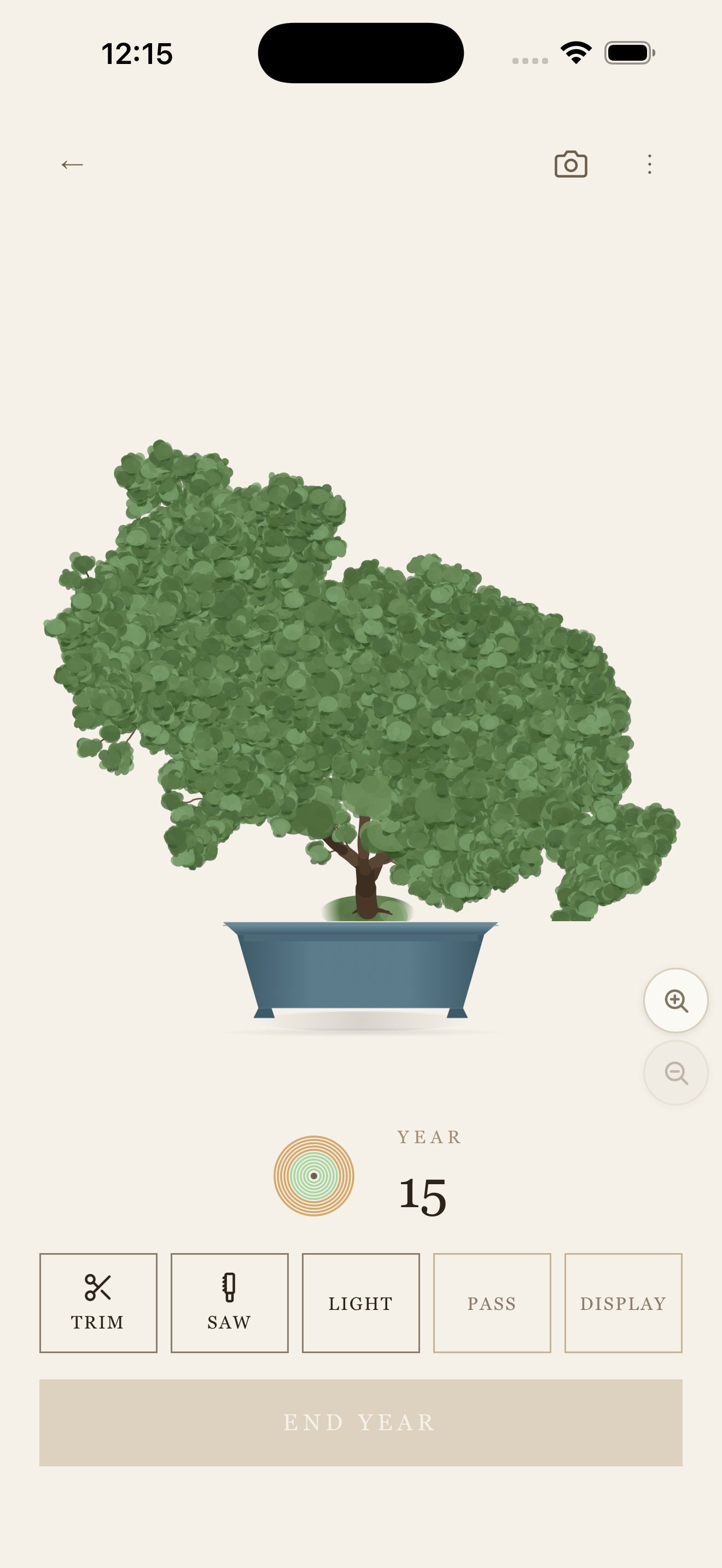 Year/Tree app showing tree at year 15